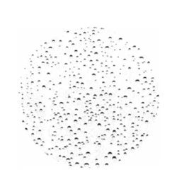 Physiodermie Ferulic SOD Mist Organic 2 Physiodermie Ferulic SOD Mist Organic - Image 2