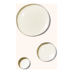 Odacite Jasmine Whisper Body Oil 2 Odacite Jasmine Whisper Body Oil - Image 2