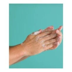 Consonant Natural Hand Wash -Care Product Shop Natural Hand Wash add2 68733 5315 general